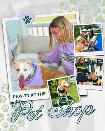 Pet Shop Party 🐾