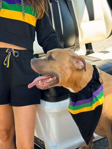 Black Stripe Pet Scarf