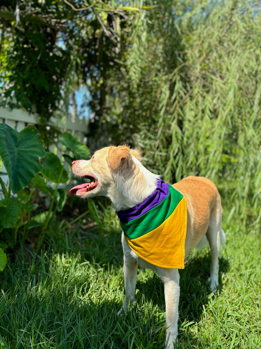 Wide Panel Rugby Pet Scarf