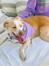 Lavender Sequin Stripe Pet Scarf