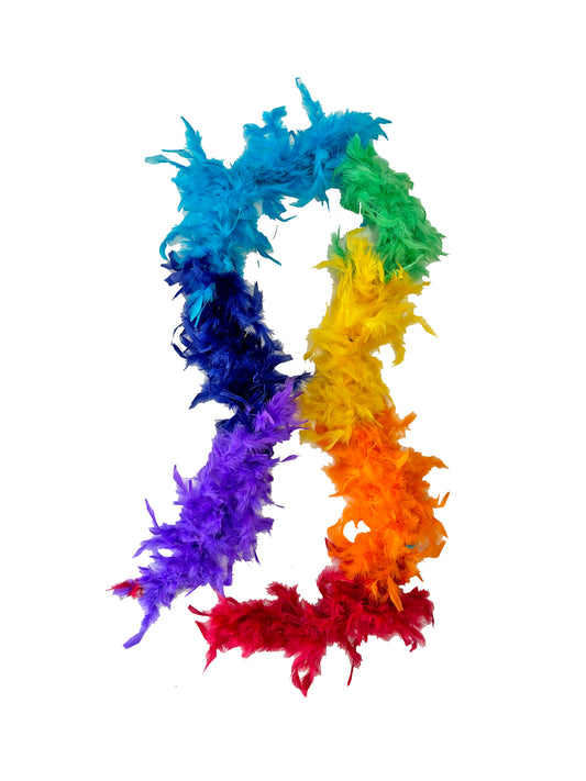 Boas de plumas seccionadas de colores del arcoíris