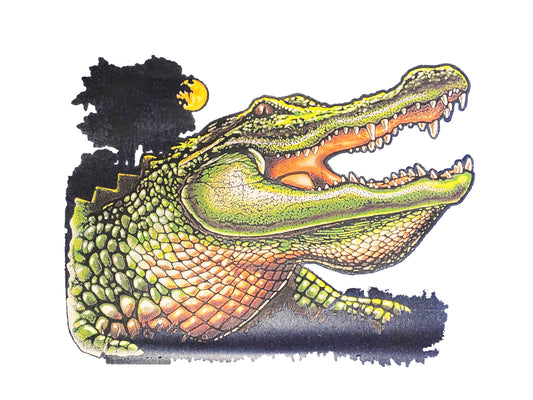 T-shirt Alligator Nuit du Marais