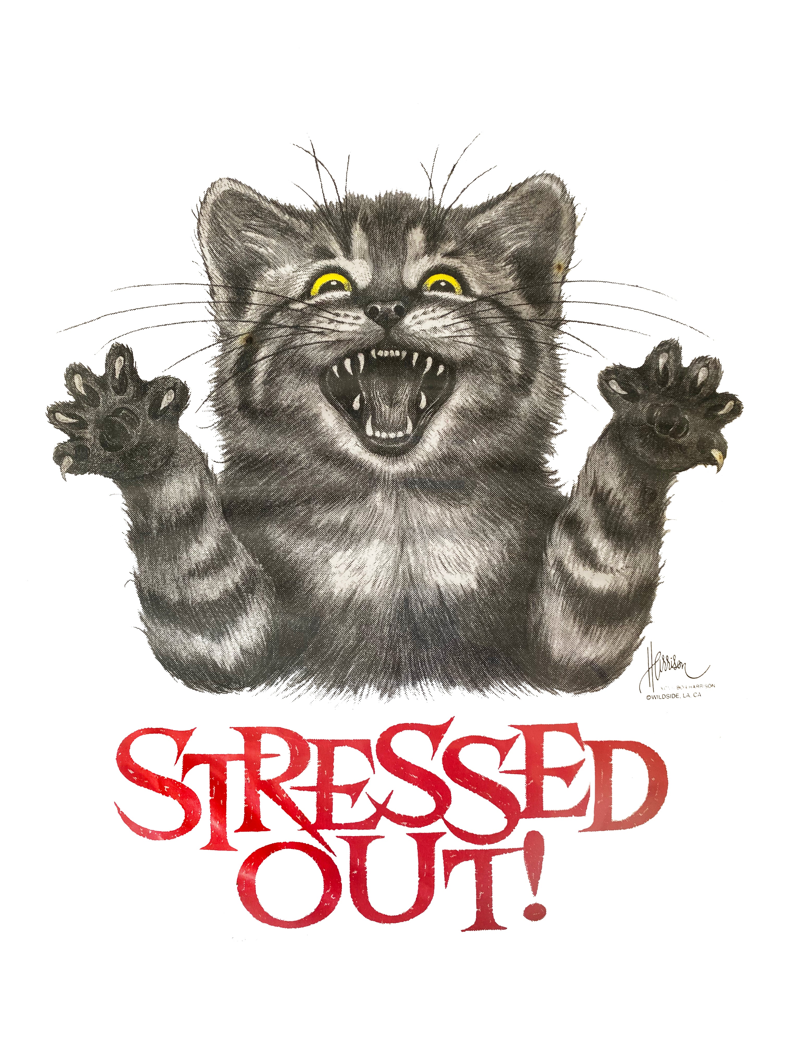 ぽん レア STRESSED OUT! 猫 ネコ Cat Tシャツ Stressed Out Cat T-Shirt – Mardi Gras Creations