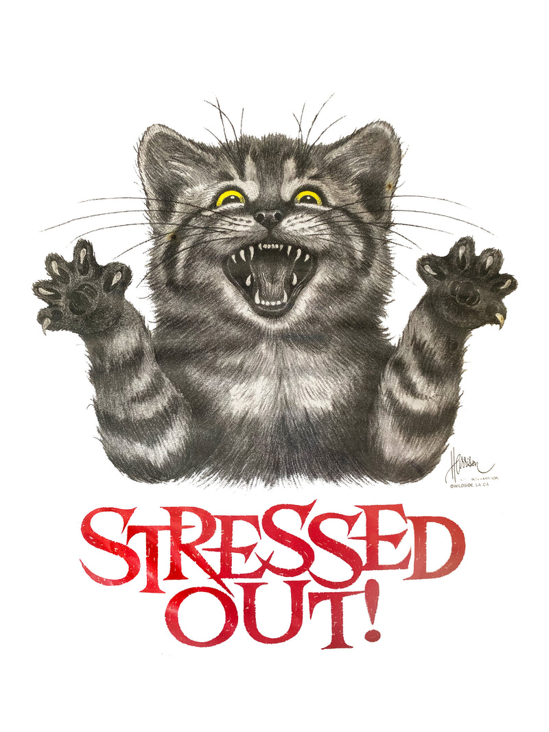 What Stresses Cats Out: Uncover Common Triggers