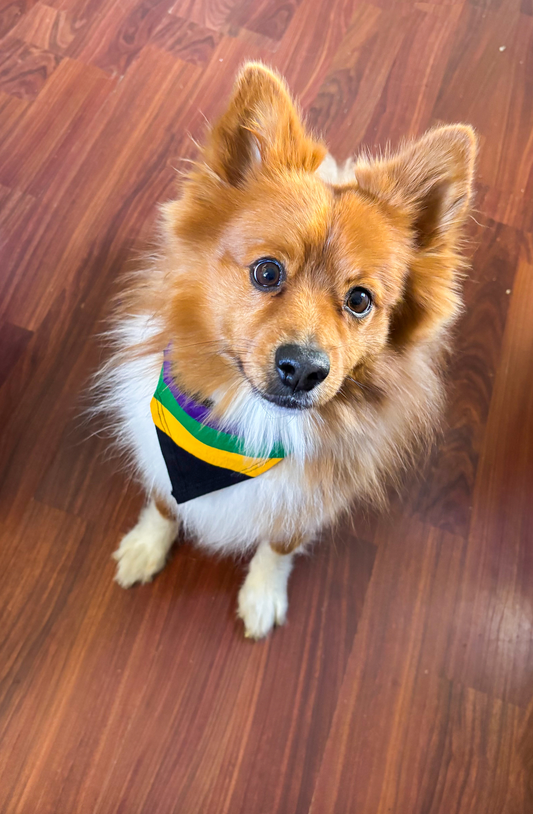 Pañuelo para mascotas con rayas negras