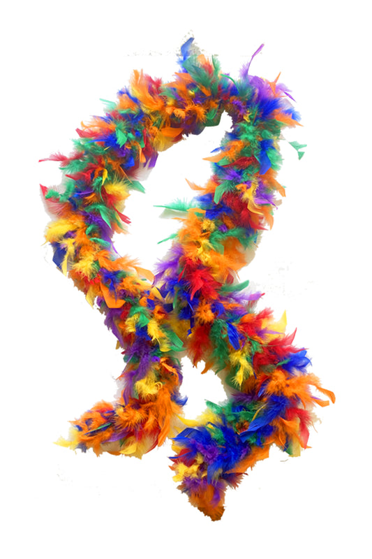 Boa de plumas de arcoíris