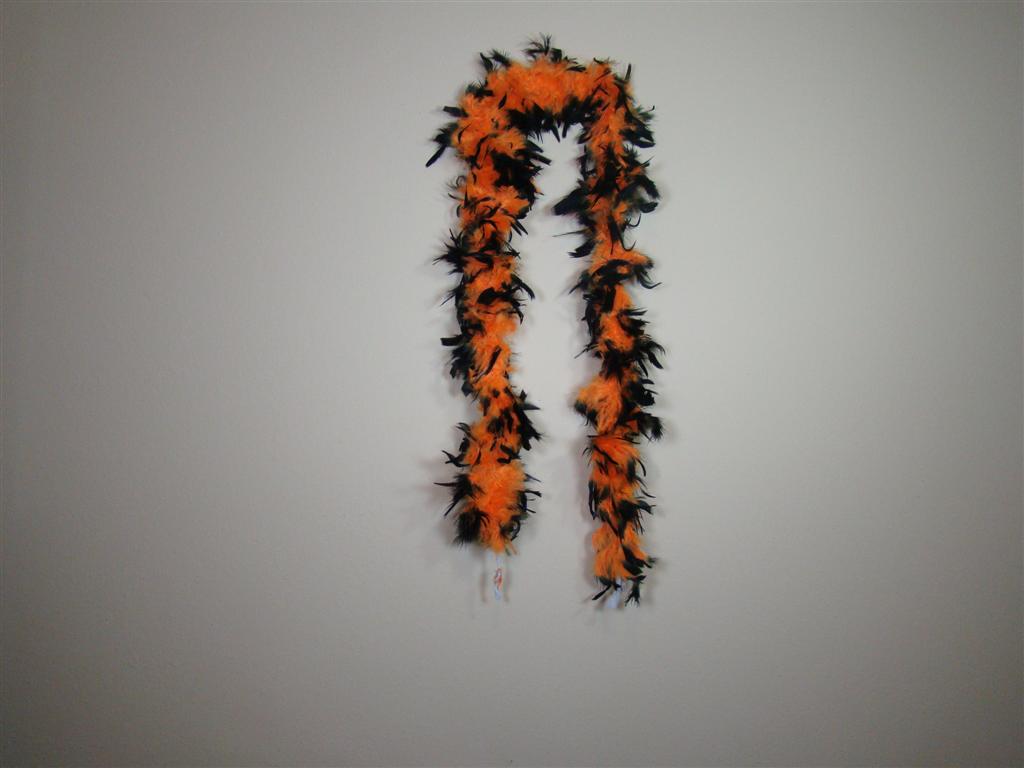 Orange Feather Boas With Black Tips