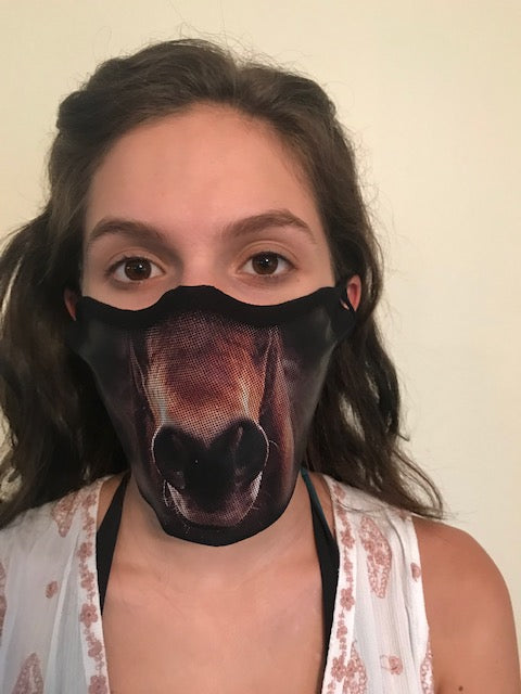 Horse Muzzle Face Mask