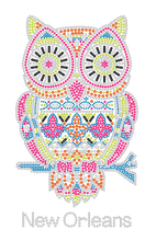 Multi Color Owl with Fleur de Lis Rhinestone Tshirt