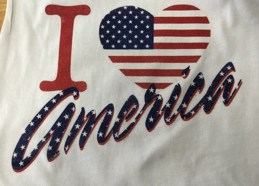 Camiseta Amo América